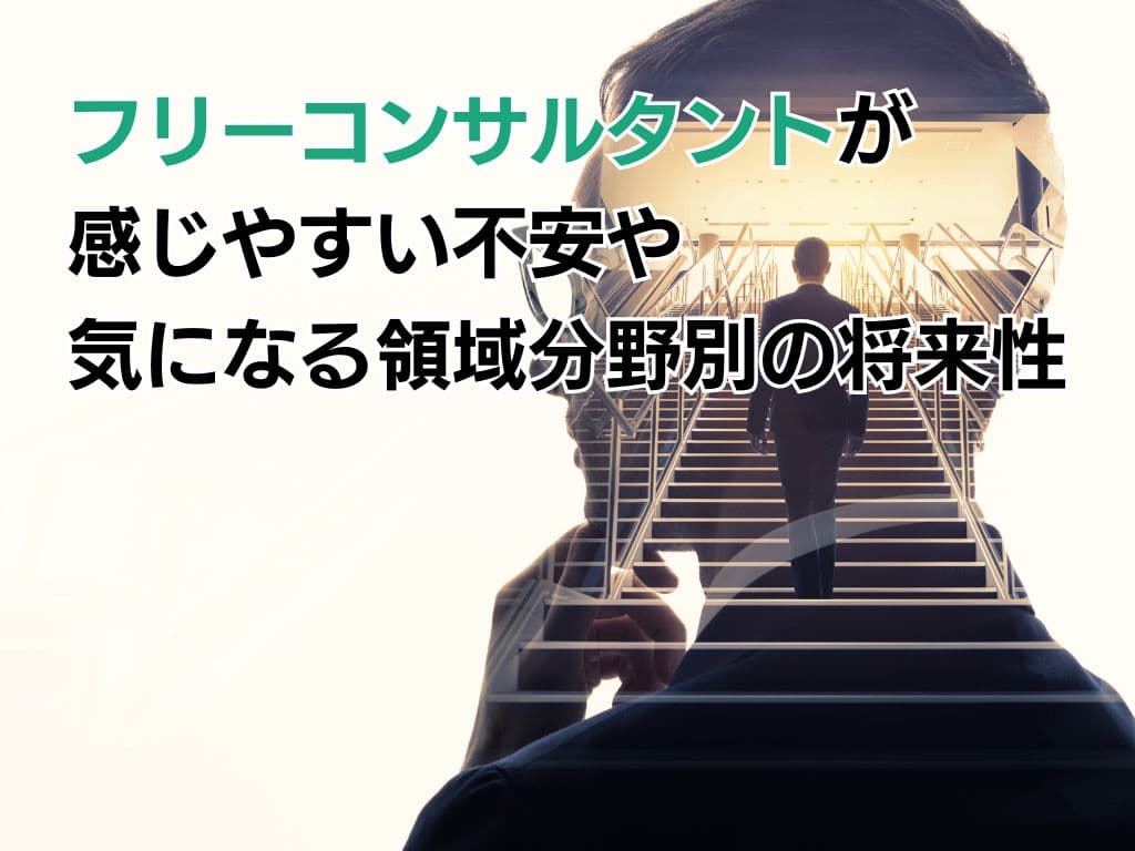 フリーコンサルタントが感じやすい不安や気になる領域分野別の将来性